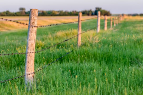 Horse Fence Construction