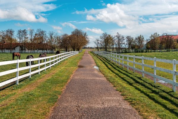 Horse Fence Construction