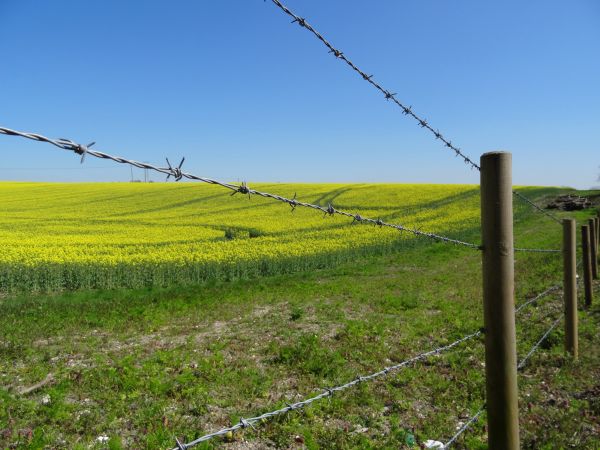 Wire Horse Fence Installation - Wire Horse Fence Installation Ocala, Florida