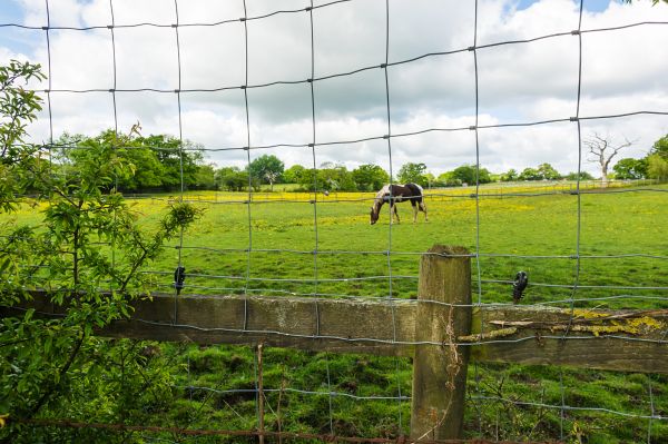 Wire Fence Installation